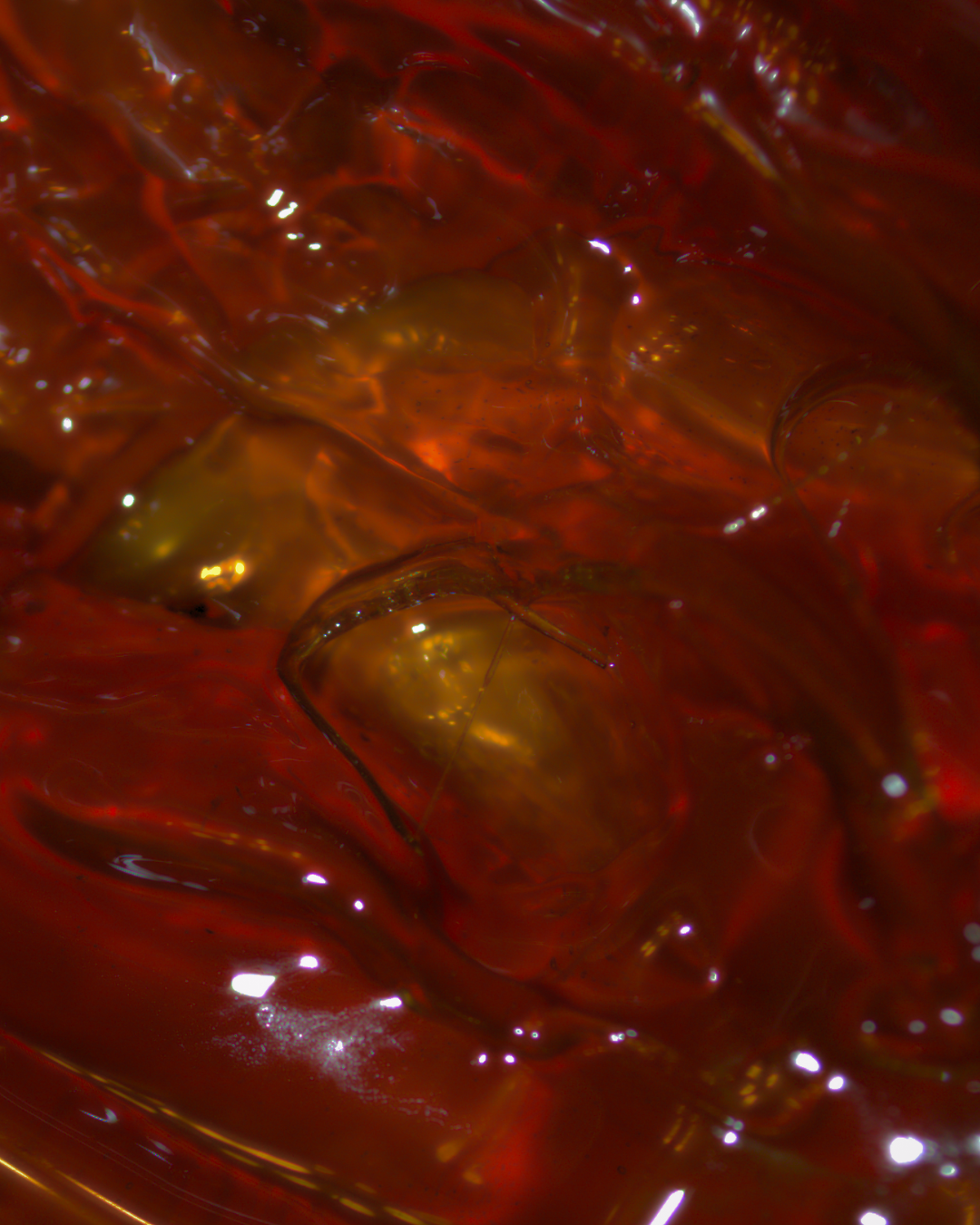 Organic Sugar Wax (Medium or Firm Wax)